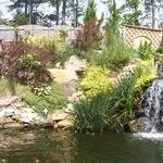 Trusted yard cleanup service for outdoor upgrades in Marietta, GA by The Pruning Guru