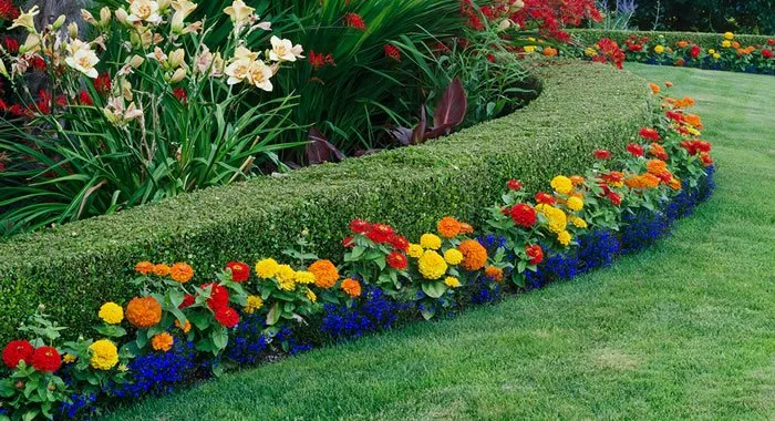 Top-rated landscape installation experts serving Lake Mary, FL - The Quality Group