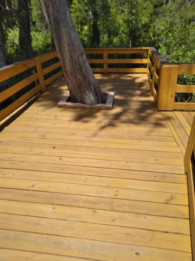 Reliable outdoor landscaping in Lake Mary, FL - The Quality Group