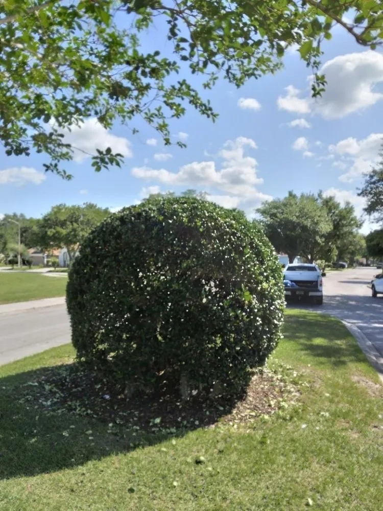 Professional lawn mowing service experts serving Lake Mary, FL - The Quality Group