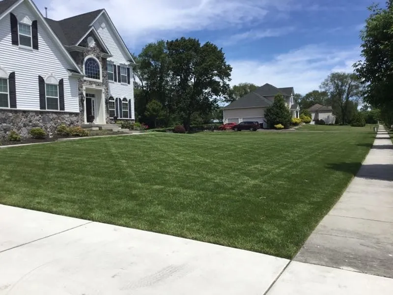 Affordable yard cleanup service experts serving Williamstown, NJ - The Rahn Companies