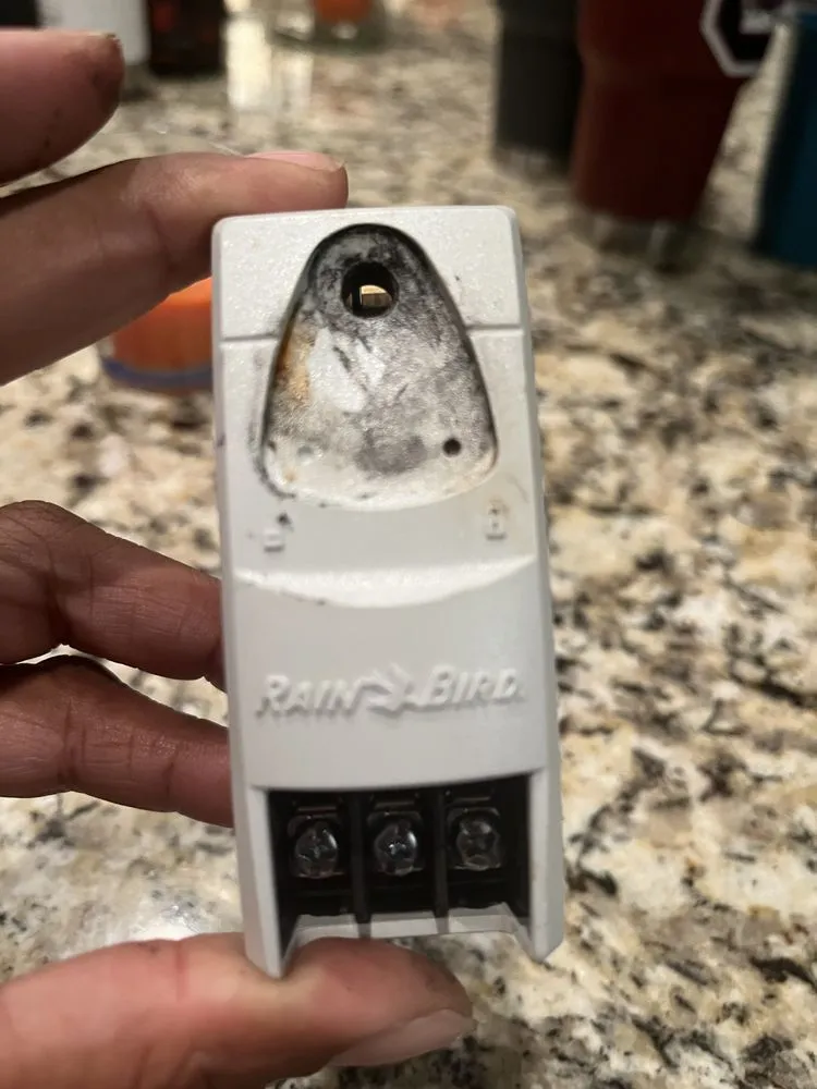 Affordable residential landscaping in Elgin, SC - The Rain Man