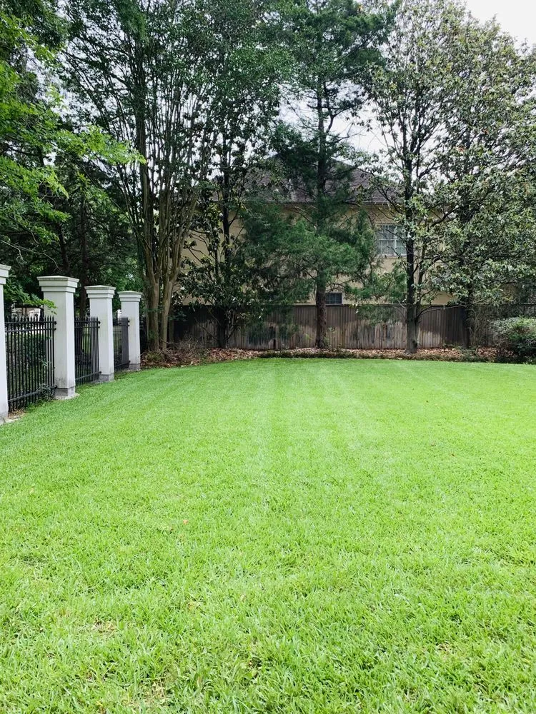 Local outdoor landscaping in Houston, TX - The Raise Landscape Maintenance