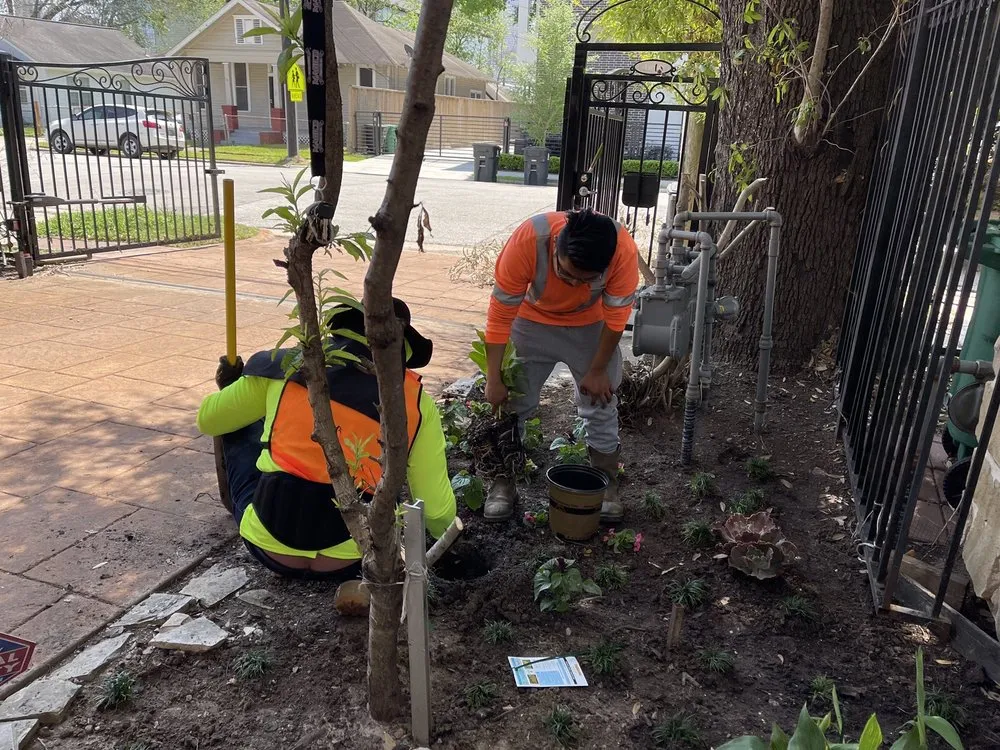 Top-rated lawn care service in Houston, TX - The Raise Landscape Maintenance