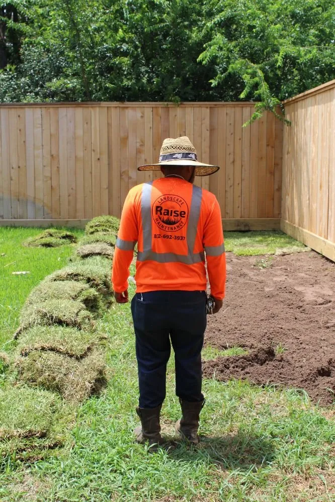 Expert yard maintenance in Houston, TX - The Raise Landscape Maintenance