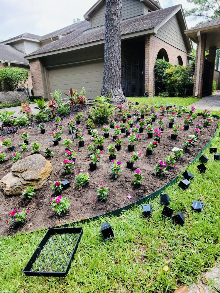 Top-rated residential landscaping in Houston, TX by The Raise Landscape Maintenance