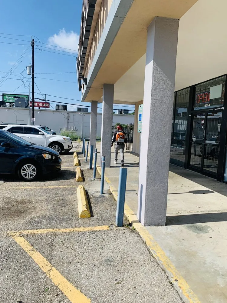 Affordable landscaping services experts serving Houston, TX - The Raise Landscape Maintenance