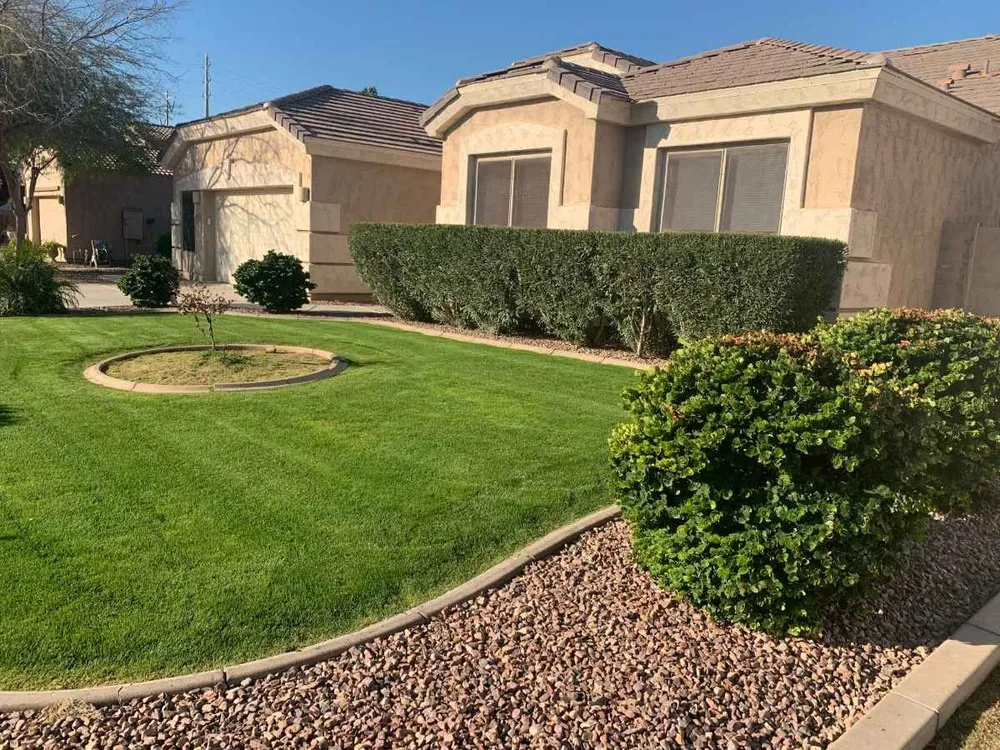 Local yard cleanup service for residential properties across Phoenix, AZ - The Ramirez Group Lawn Care