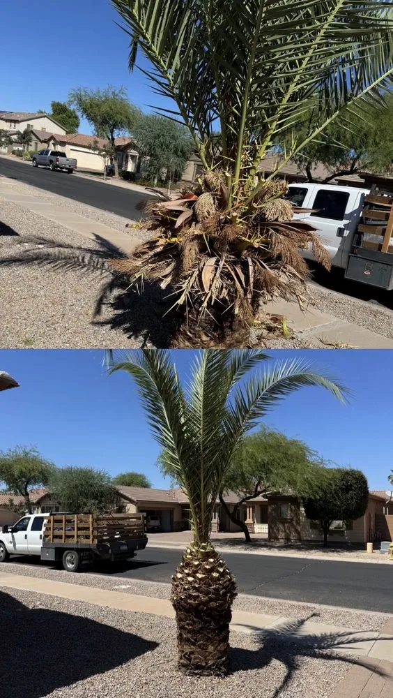 Local yard maintenance in Phoenix, AZ by The Ramirez Group Lawn Care