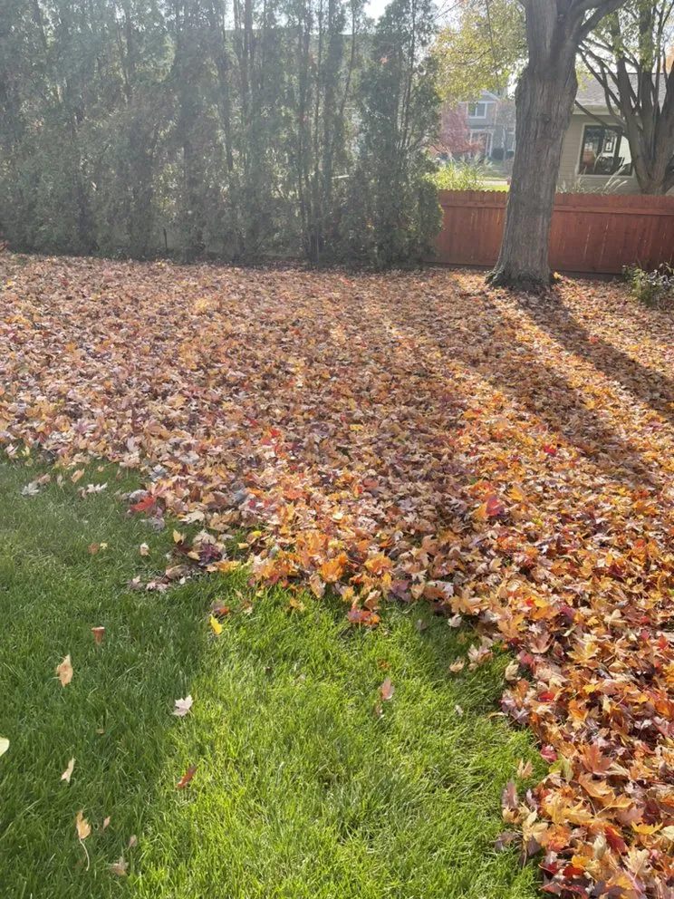 Professional landscaping services experts serving East Dundee, IL - The Ramos Lawn Care Service