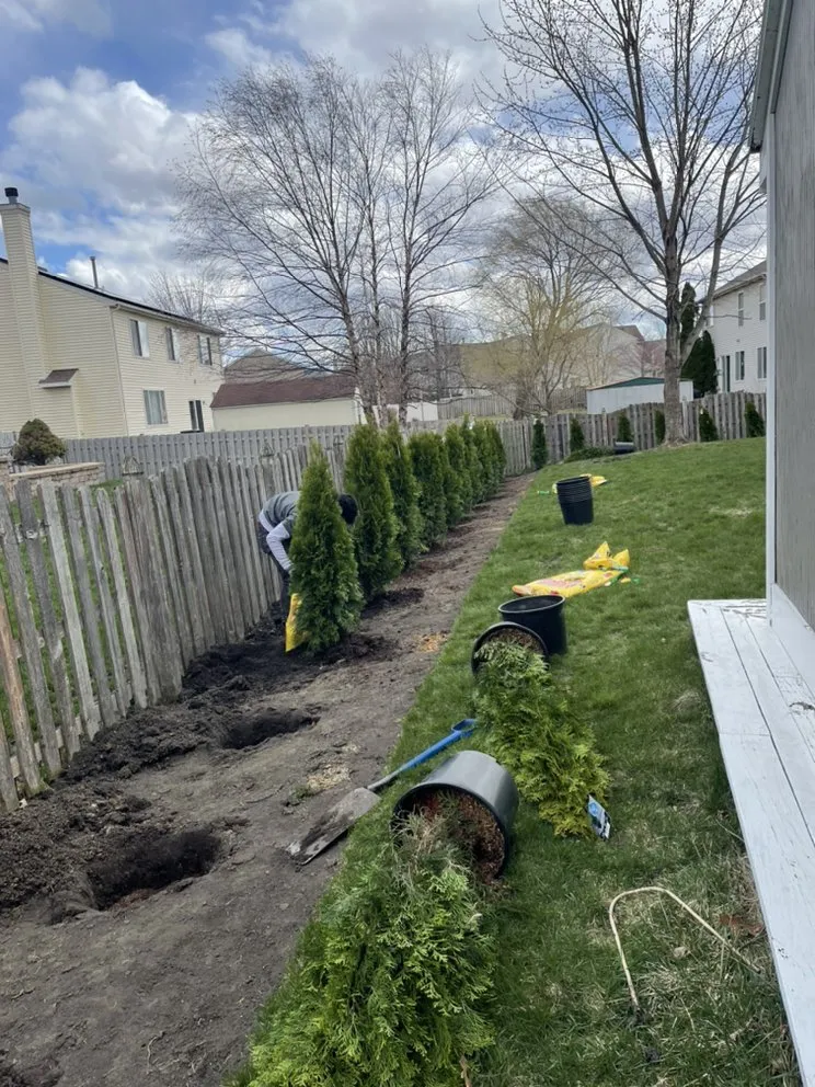 Trusted yard cleanup service experts serving East Dundee, IL - The Ramos Lawn Care Service