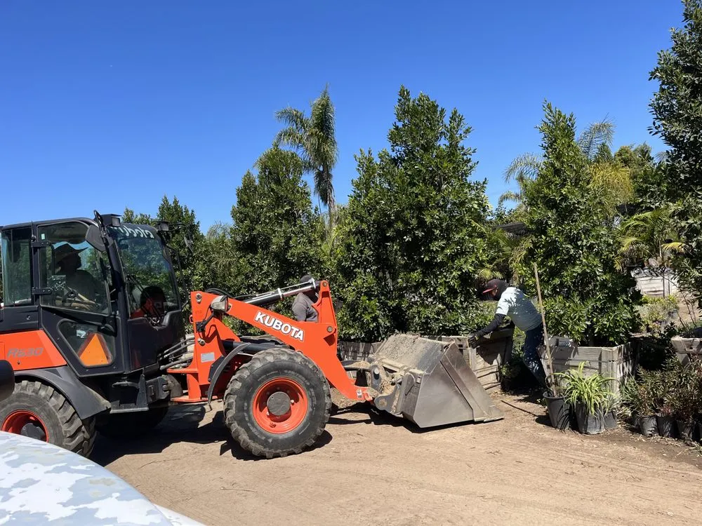 Reliable landscape installation in San Juan Capistrano, CA by The Ramos Maintenance