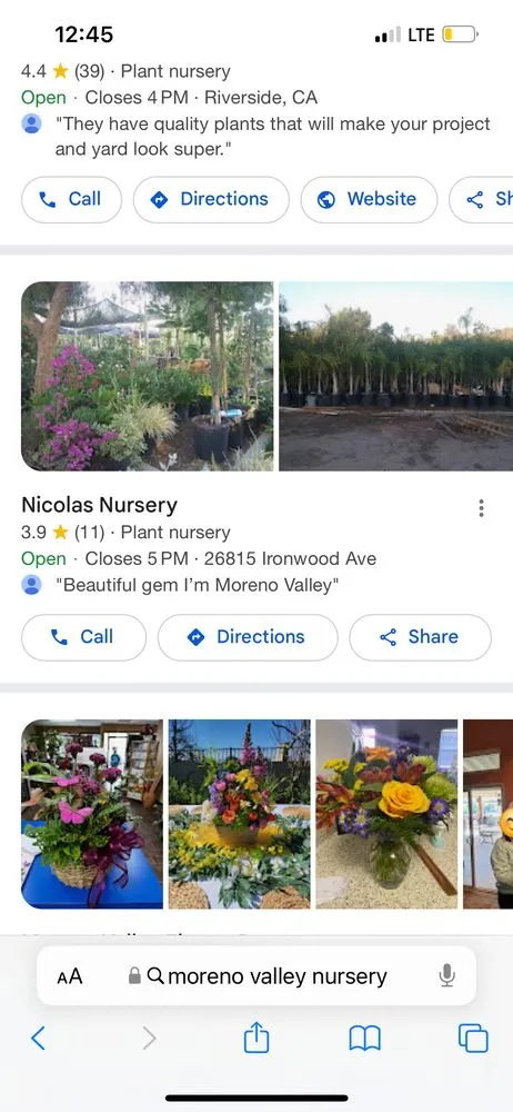 Trusted outdoor landscaping for outdoor upgrades across San Juan Capistrano, CA - The Ramos Maintenance