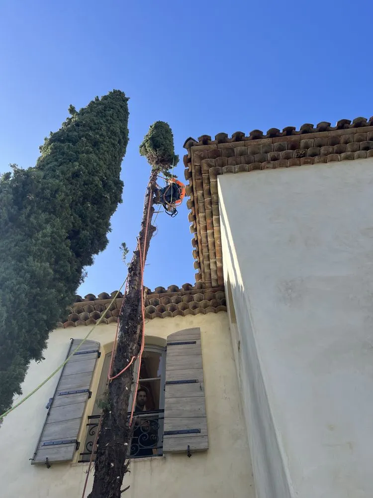 Top-rated yard cleanup service for homes across San Juan Capistrano, CA - The Ramos Maintenance