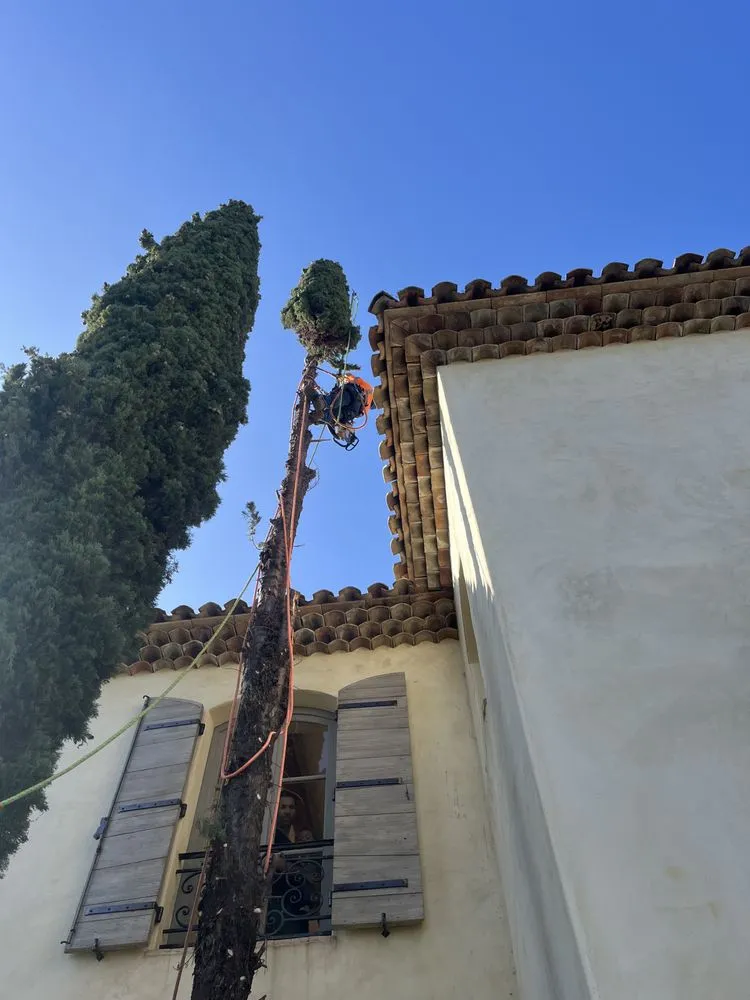 Local outdoor landscaping with custom design in San Juan Capistrano, CA by The Ramos Maintenance