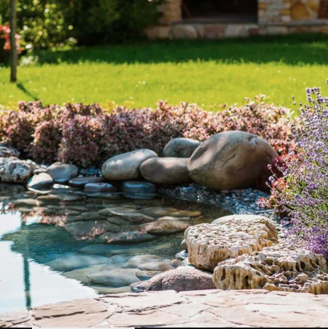Top-rated yard cleanup service for beautiful yards across Santa Fe, TX - The Ranch on 6