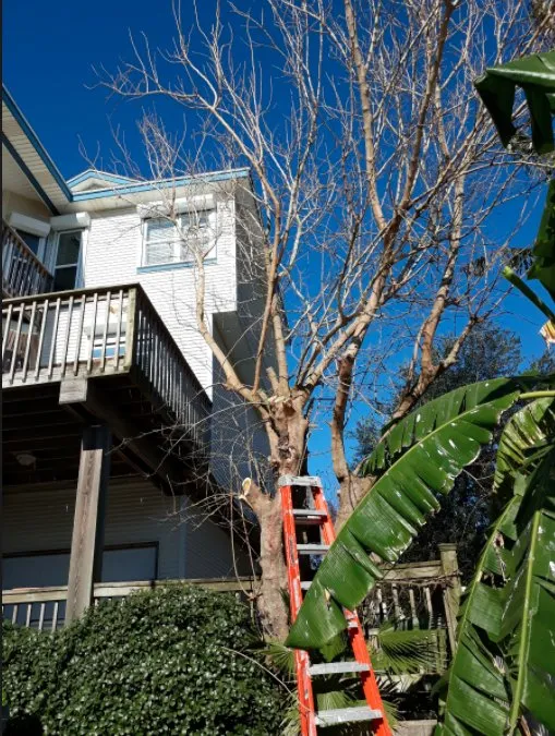 Local garden landscaping experts serving Santa Fe, TX - The Ranch on 6