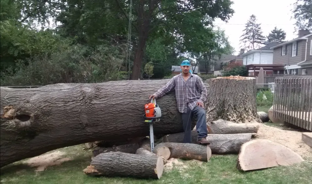 Professional landscaping services in Wonder Lake, IL by The Ranch Tree Services