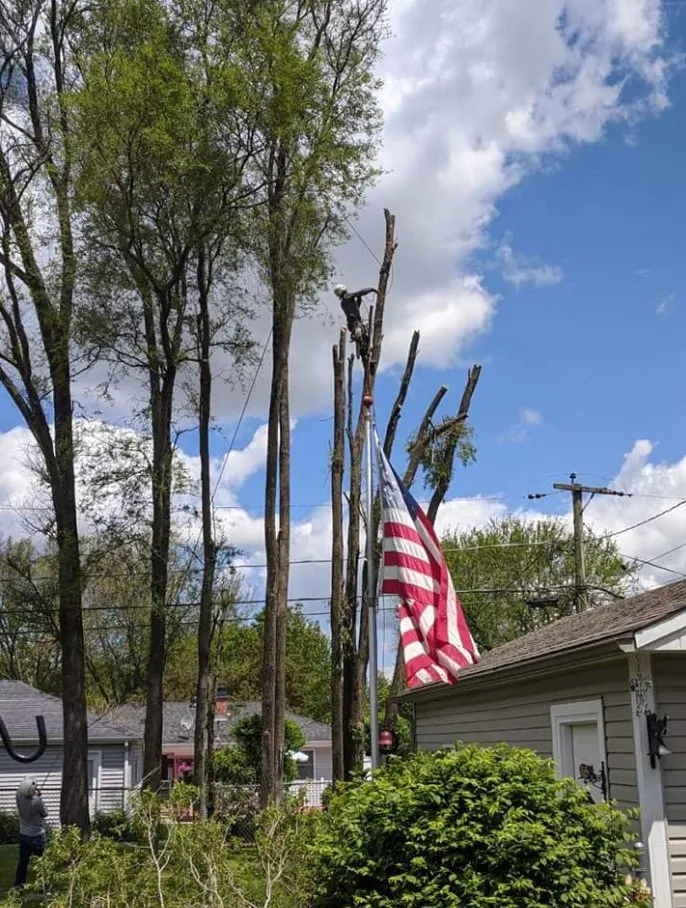 Reliable landscaping services for residential properties in Wonder Lake, IL by The Ranch Tree Services