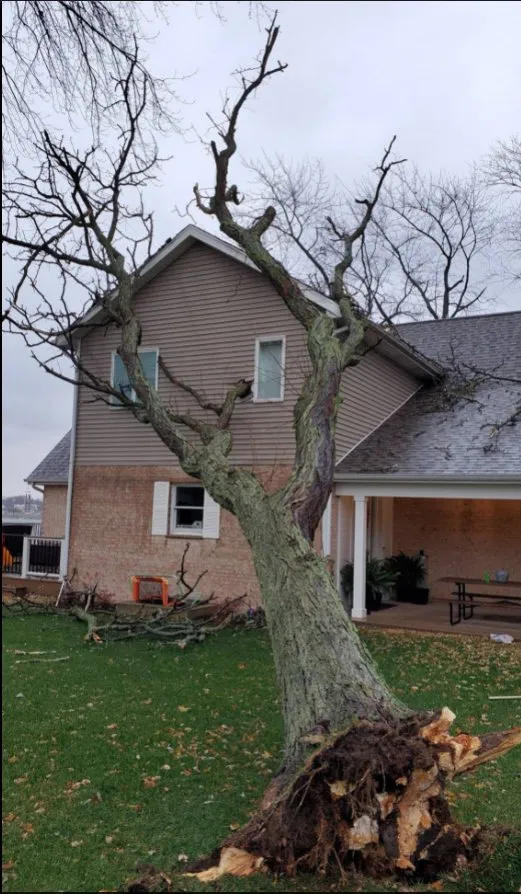 Top-rated landscaping services for beautiful yards in Wonder Lake, IL by The Ranch Tree Services