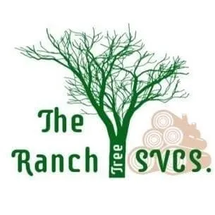 Professional yard cleanup service near you in Wonder Lake, IL by The Ranch Tree Services