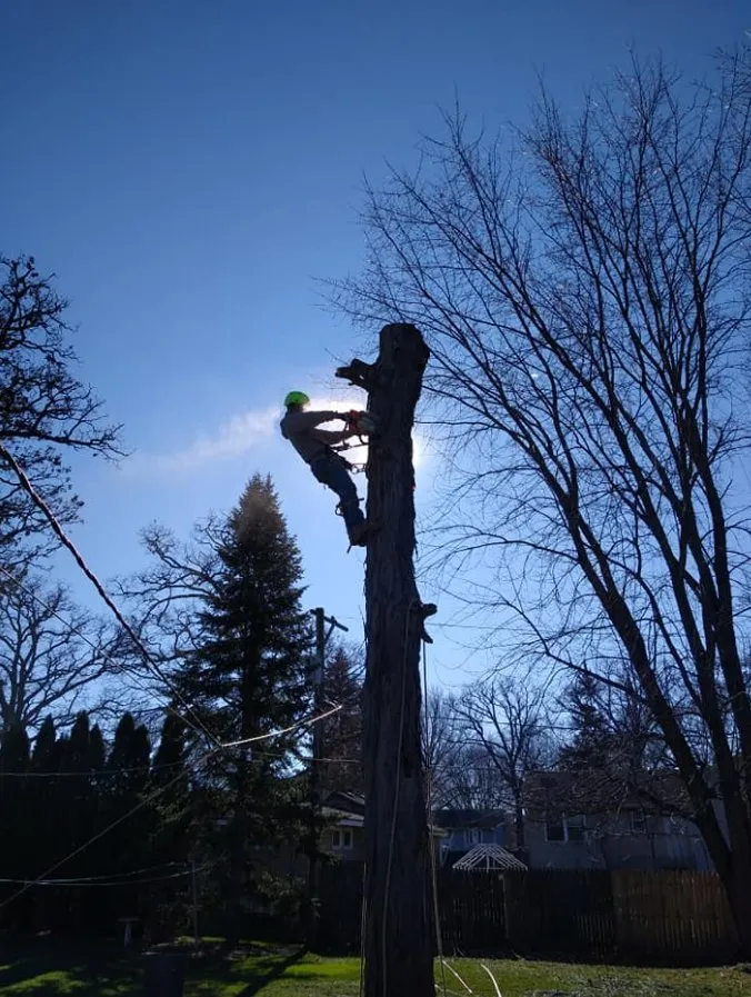 Top-rated lawn care service experts serving Wonder Lake, IL - The Ranch Tree Services