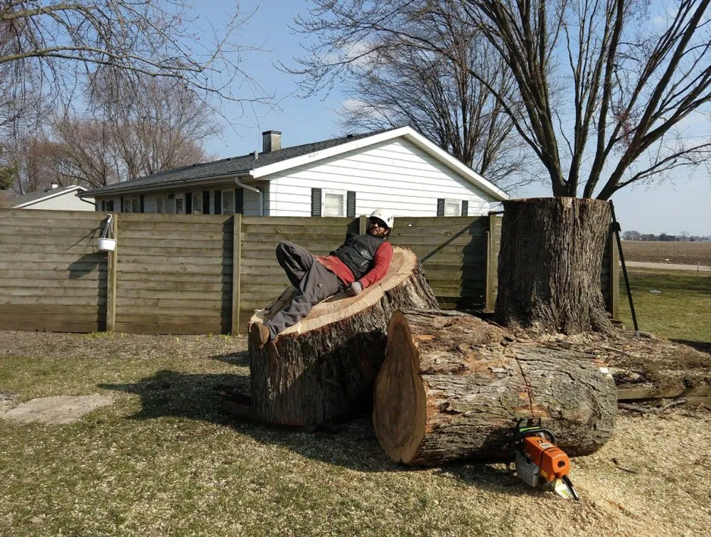 Trusted landscape installation experts serving Wonder Lake, IL - The Ranch Tree Services