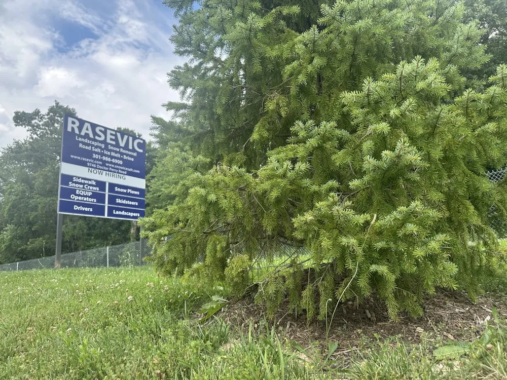 Expert lawn mowing service experts serving Ijamsville, MD - The Rasevic Companies