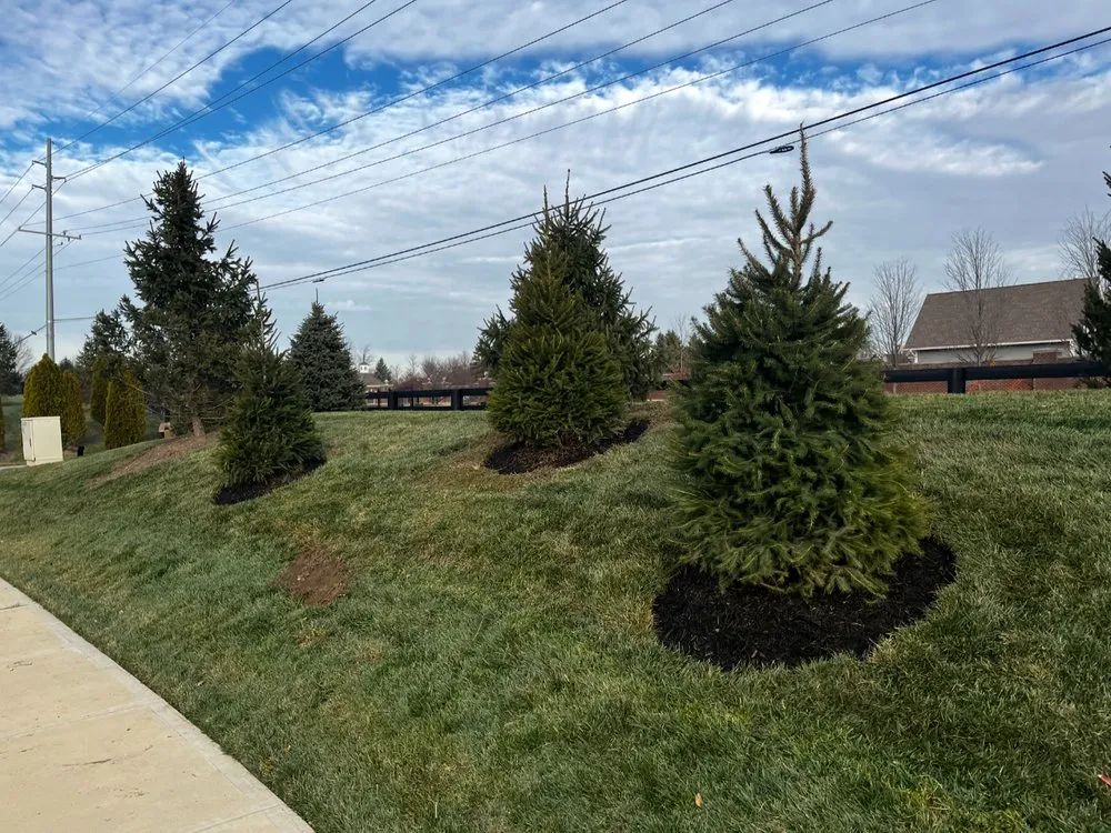 Professional landscaping services for residential properties in Indianapolis, IN by The Rayman