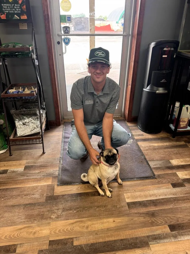 Custom lawn mowing service for year-round maintenance in Indianapolis, IN by The Rayman