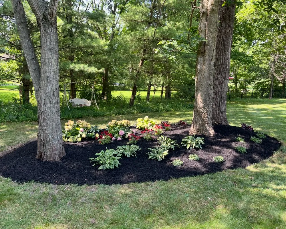 Top-rated landscape design in Indianapolis, IN by The Rayman