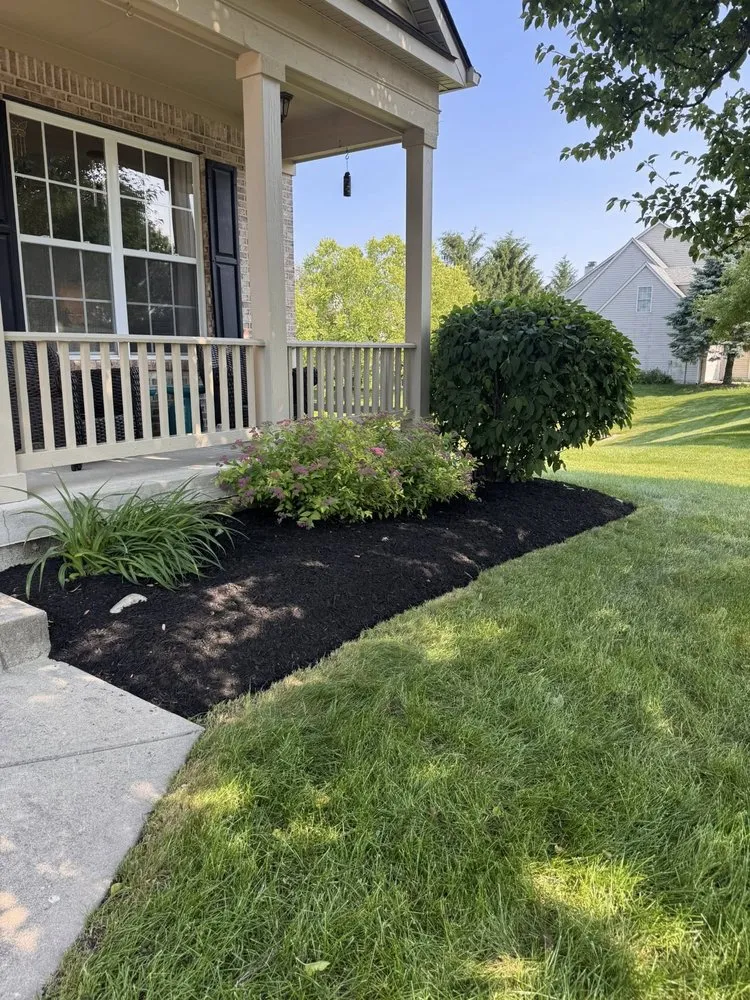 Professional yard cleanup service in Indianapolis, IN by The Rayman