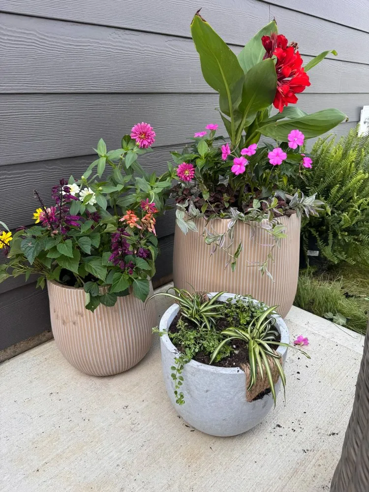 Affordable residential landscaping in Indianapolis, IN - The Rayman