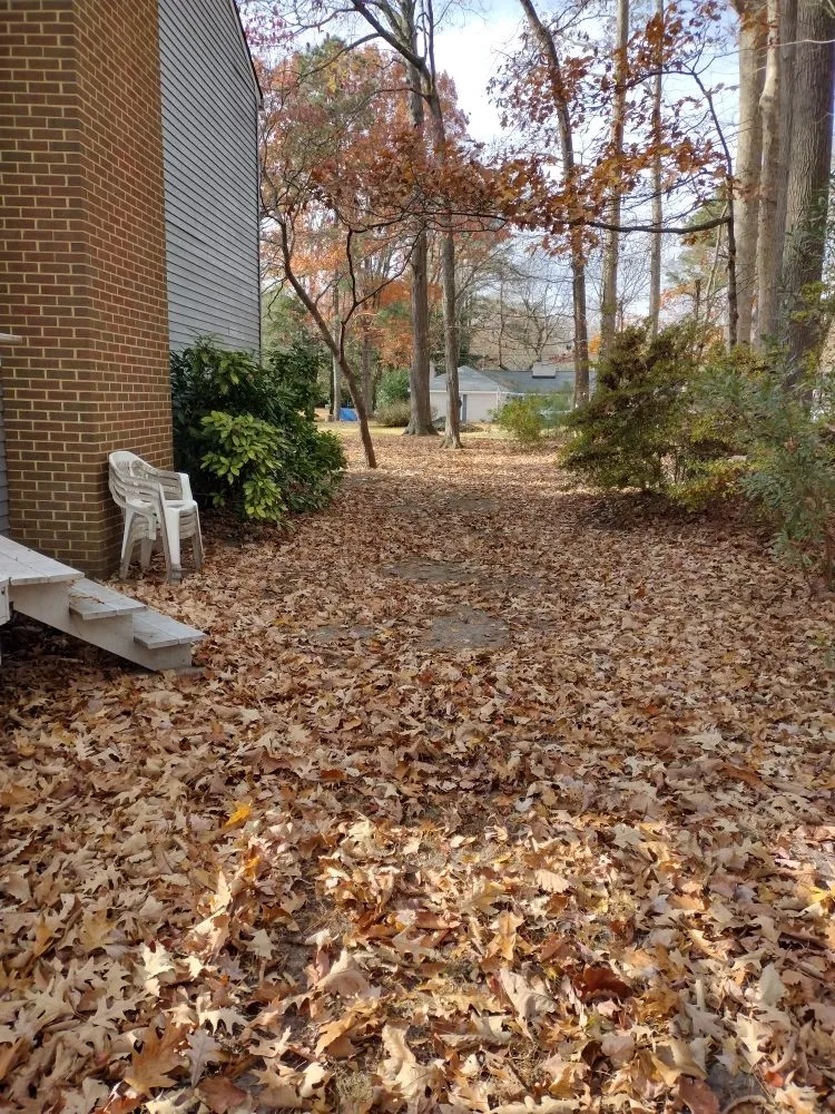 Trusted landscape design with custom design across Hampton, VA - The Real Deal Quality Services