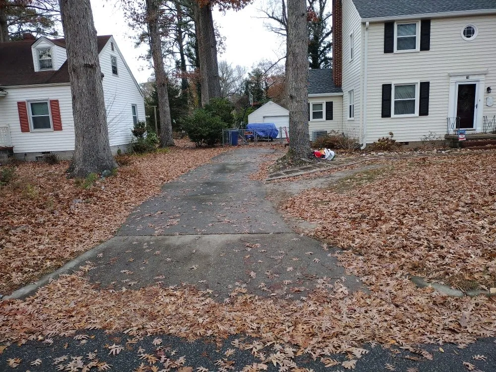 Top-rated landscape installation for beautiful yards in Hampton, VA by The Real Deal Quality Services