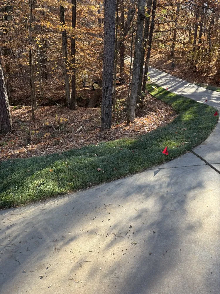 Local yard cleanup service for residential properties across Concord, NC - The Real Green Thumb