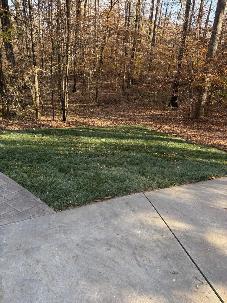 Reliable landscape installation for beautiful yards in Concord, NC by The Real Green Thumb