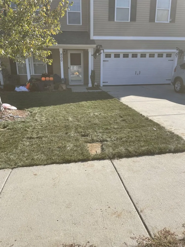 Top-rated lawn mowing service near you in Concord, NC by The Real Green Thumb