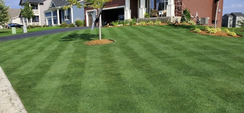 Professional residential landscaping in Concord, NC by The Real Green Thumb