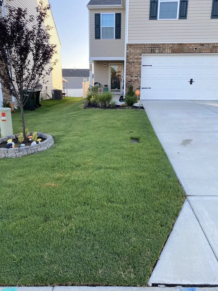 Professional yard cleanup service in Concord, NC by The Real Green Thumb