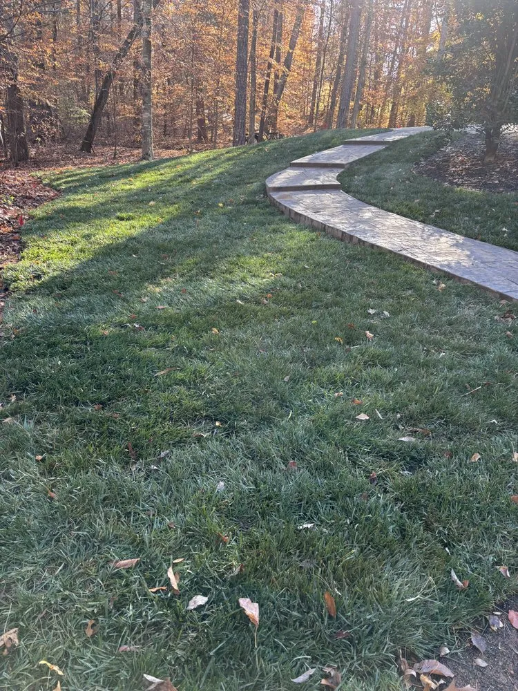 Professional outdoor landscaping in Concord, NC by The Real Green Thumb