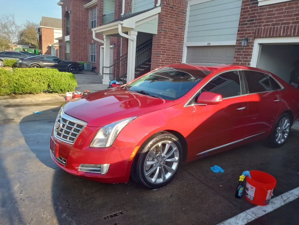 Expert yard cleanup service in Pasadena, TX - The Real Handyman Services