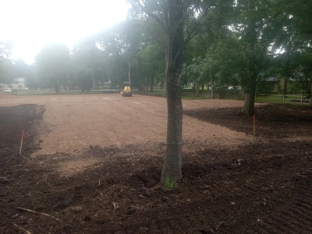 Affordable landscaping services in Wallis, TX - The Real Jack of All Trades