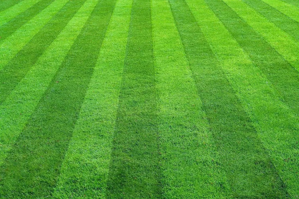 Top-rated lawn care service in Beverly, WV - The Real McCoy Lawn Care
