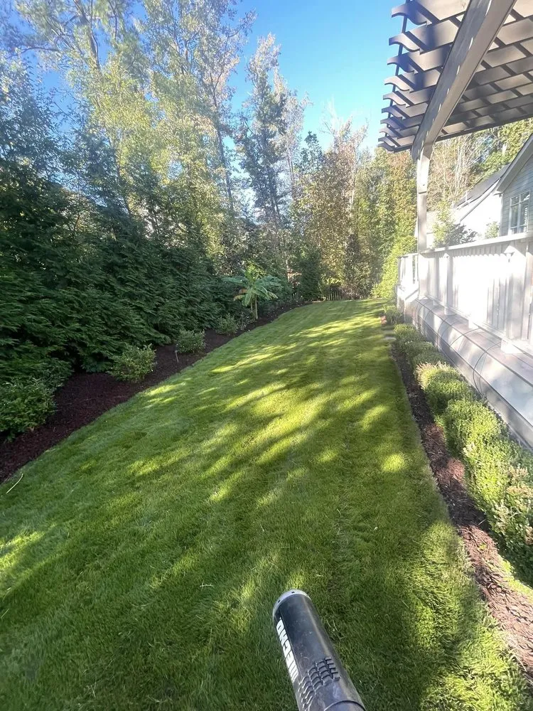 Top-rated landscape installation in Knightdale, NC - The Real McKoy Landscaping