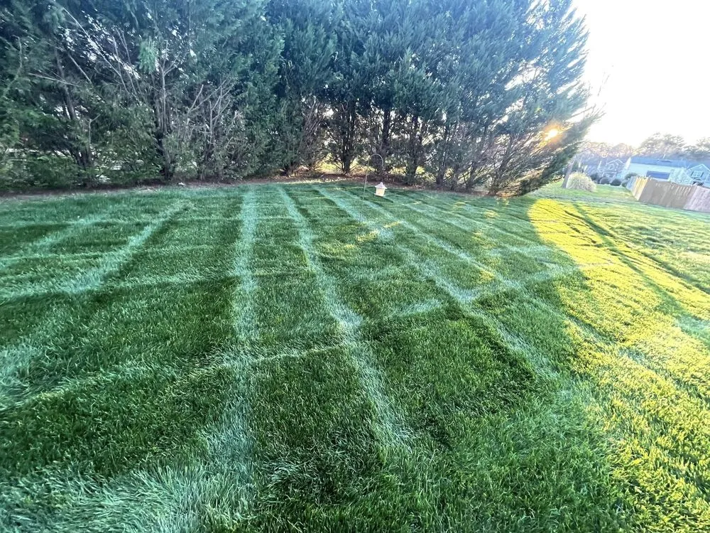 Local landscape design in Knightdale, NC - The Real McKoy Landscaping