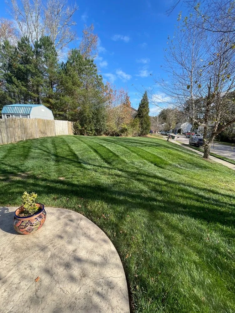 Top-rated landscape design for beautiful yards in Knightdale, NC by The Real McKoy Landscaping