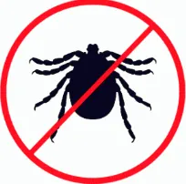 Reliable garden landscaping experts serving Nedrow, NY - The Real M'Coye