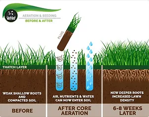 Trusted outdoor landscaping for homes across Nedrow, NY - The Real M'Coye