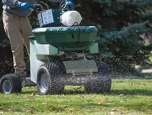 Professional garden landscaping for homes in Nedrow, NY by The Real M'Coye